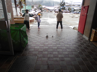 Dscn5097