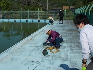 Dscn6237