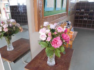 Dscn5422