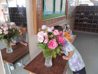 Dscn5424