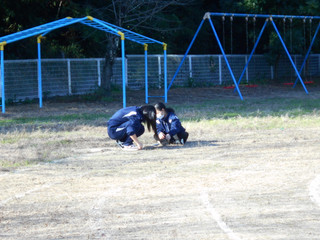 Dscn6433 Dscn6433