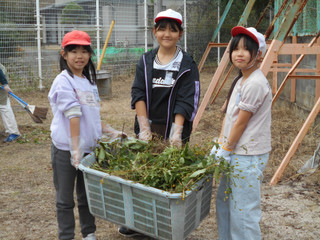 Dscn6779 Dscn6779