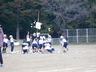 Dscn6962 Dscn6962