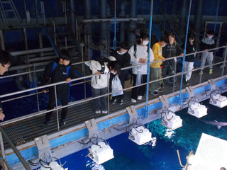 Dscn5557_2 Dscn5557_2