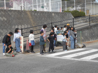 Dscn8337
